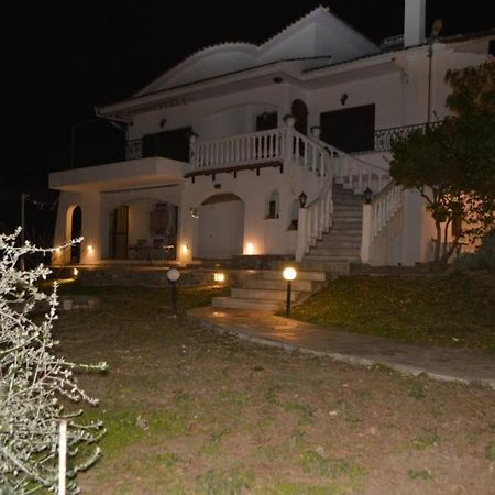 Villa Triple H à Vólos Extérieur photo