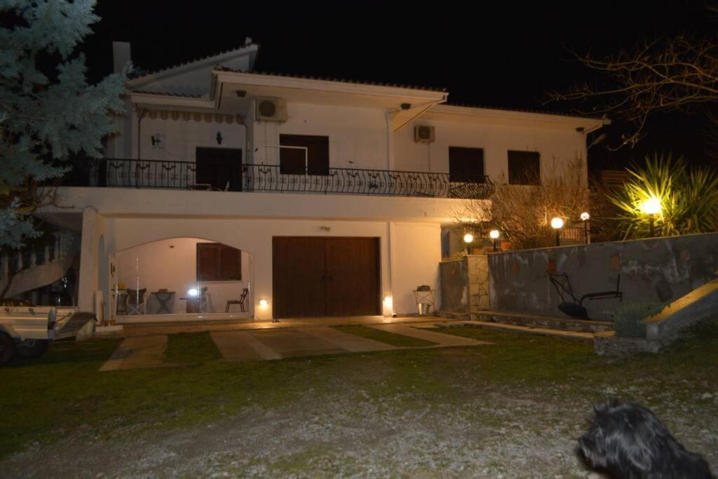Villa Triple H à Vólos Extérieur photo
